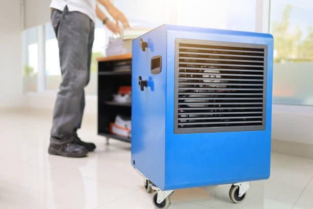 Best Residential Mold Inspection & Testing  in Timmonsville, SC