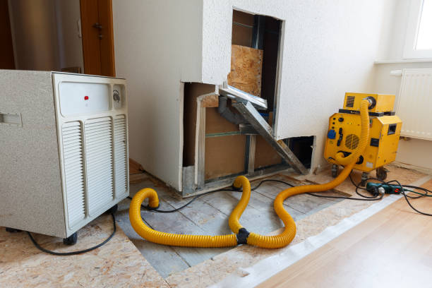 Best Commercial Mold Inspection  in Timmonsville, SC