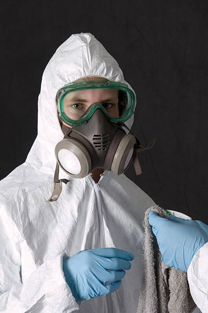 Best Mold Odor Removal Services  in Timmonsville, SC